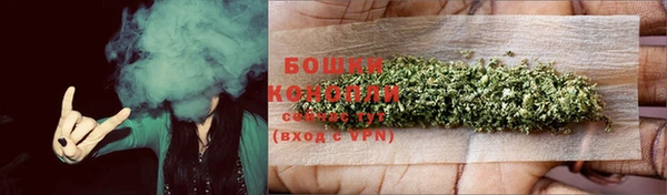 бошки Протвино