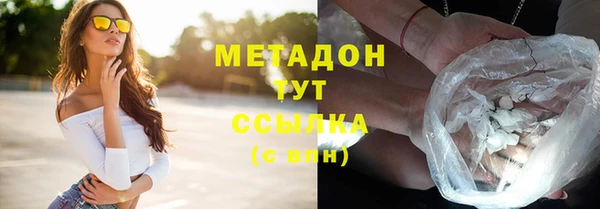 прущие грибы Ростов