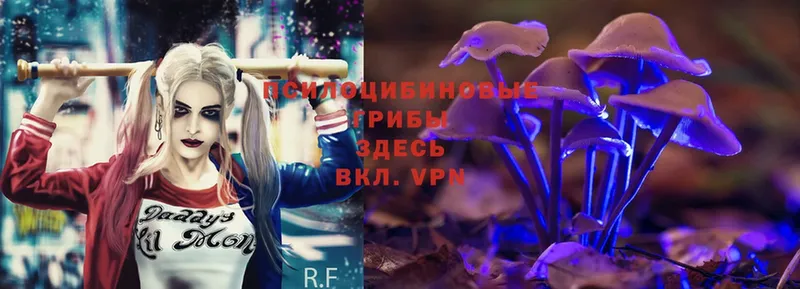 Галлюциногенные грибы Magic Shrooms  OMG ТОР  Липки 